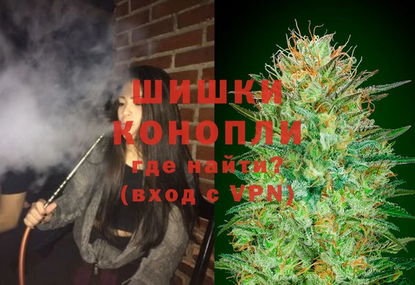 прущие грибы Сосновка